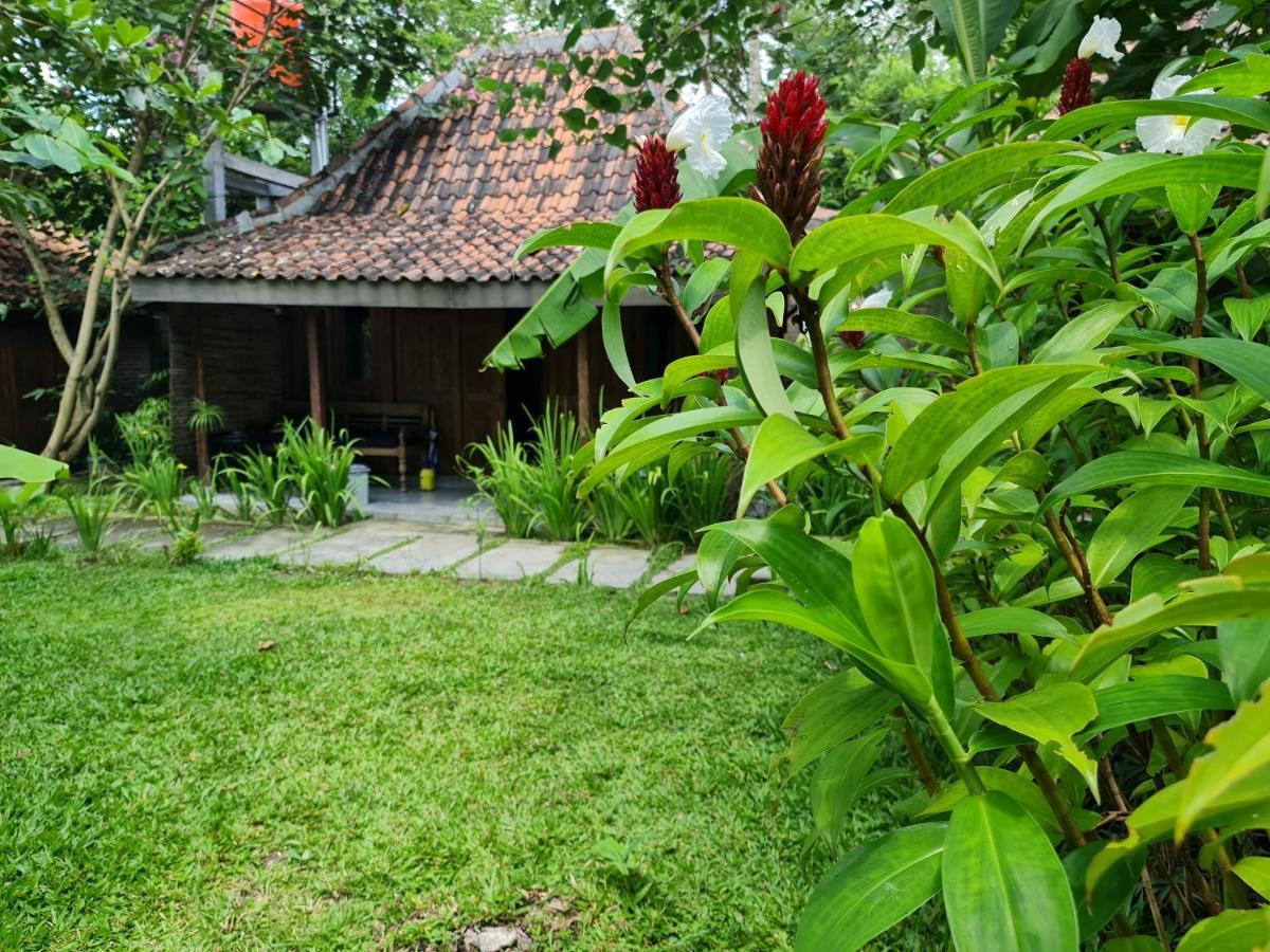 Villa Kayu Yogyakarta Exteriér fotografie